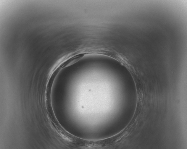 X0000081470340200701191811