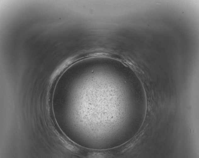 X0000081470341200701191811