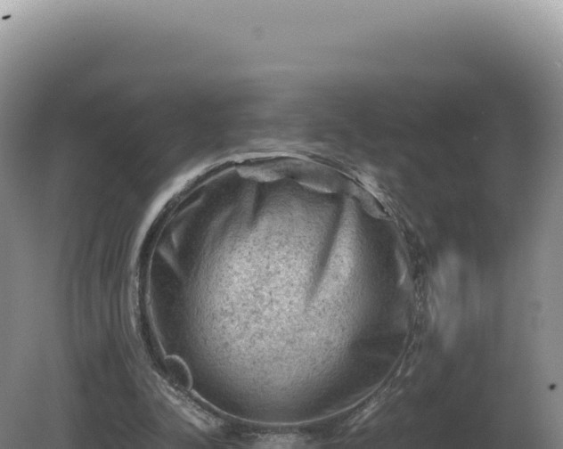 X0000081470342200701191811