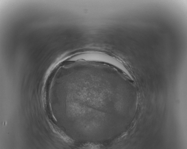 X0000081470343200701191811