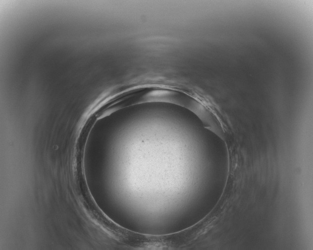 X0000081470344200701191811