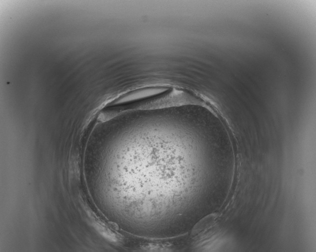 X0000081470345200701191811