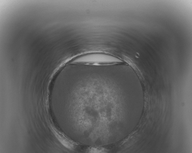 X0000081470346200701191811