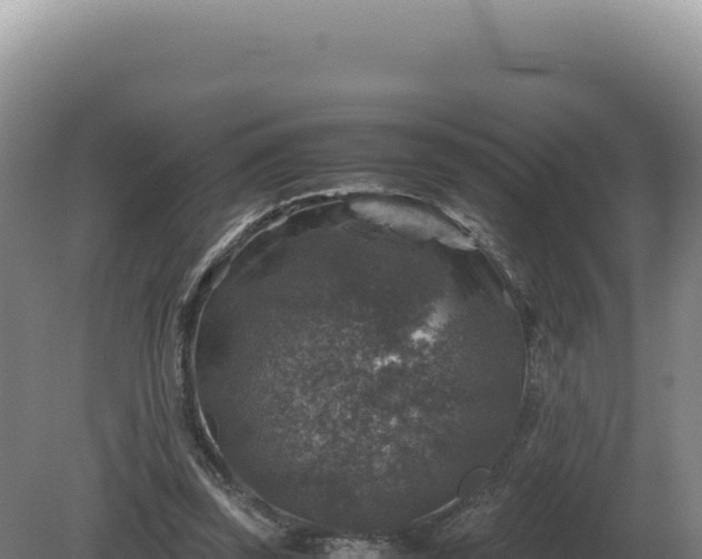 X0000081470347200701191811