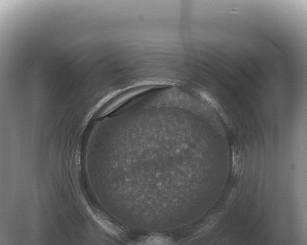 X0000081470348200701191811