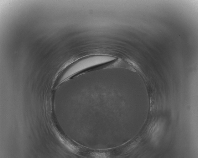 X0000081470349200701191811