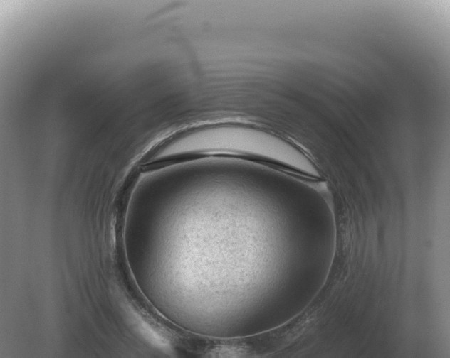 X0000081470350200701191811