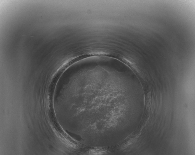 X0000081470351200701191811