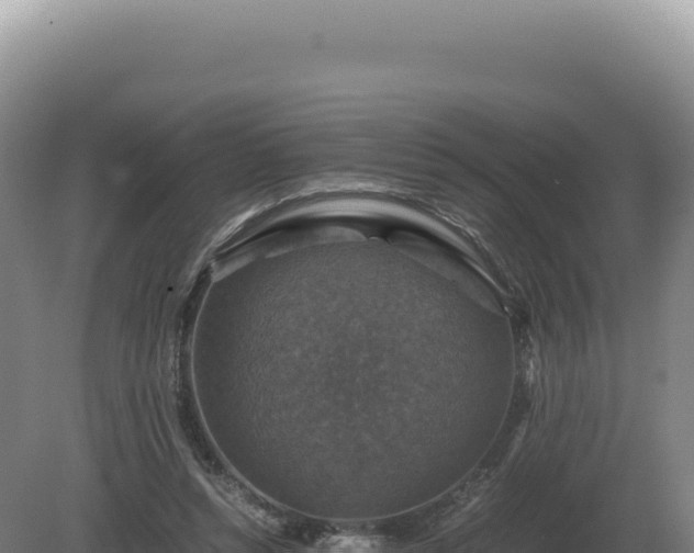 X0000081470352200701191812