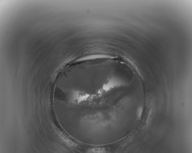 X0000081470353200701191812