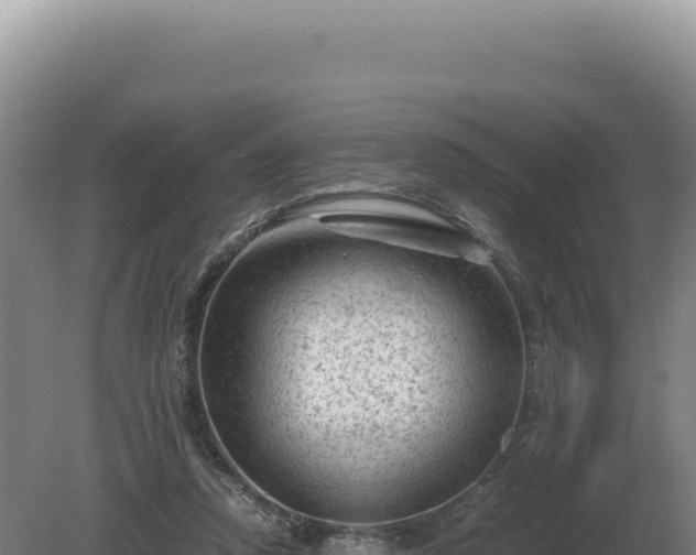 X0000081470354200701191812