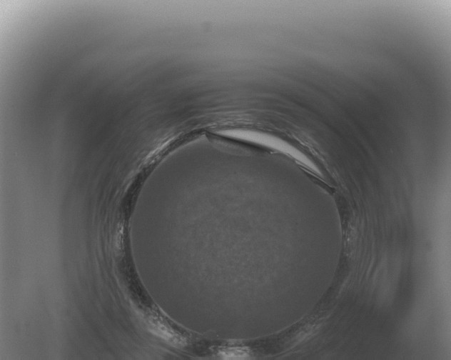 X0000081470355200701191812