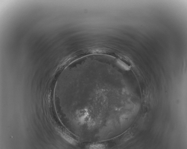 X0000081470357200701191812