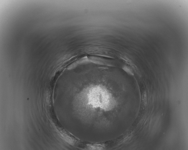 X0000081470359200701191812