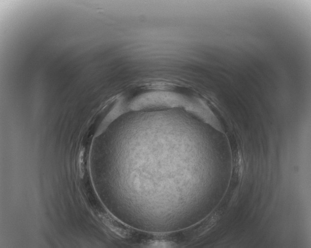 X0000081470360200701191812