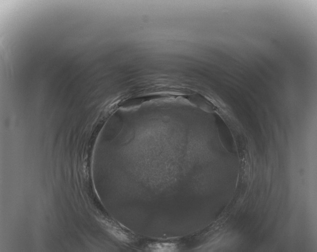 X0000081470361200701191812