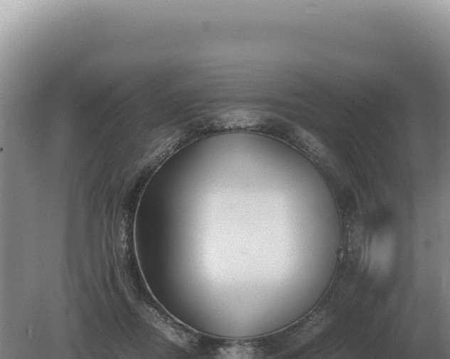 X0000081470362200701191812