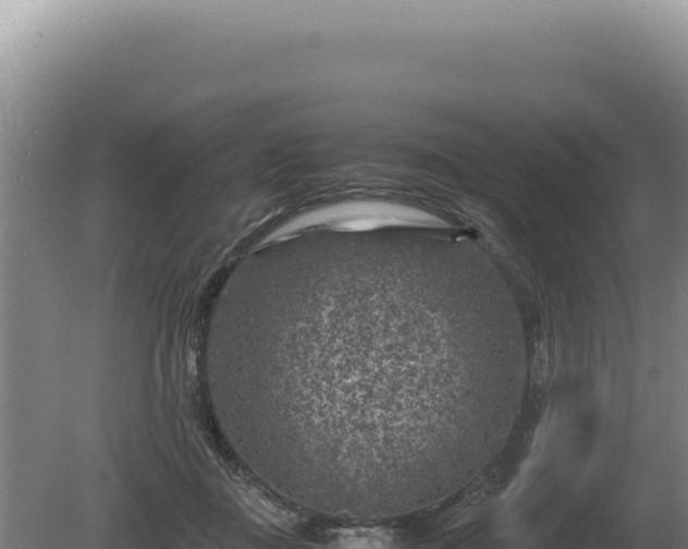 X0000081470363200701191812