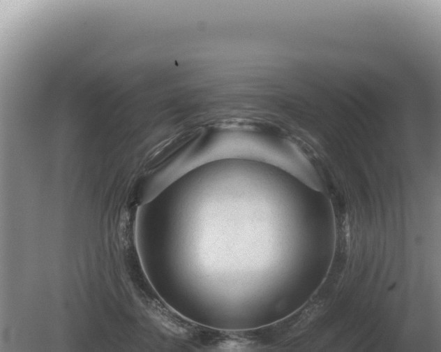 X0000081470364200701191812