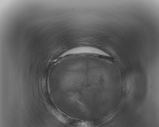 X0000081470365200701191812