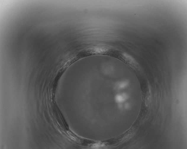 X0000081470366200701191812