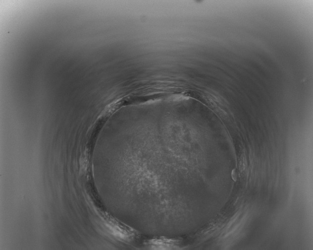 X0000081470367200701191812