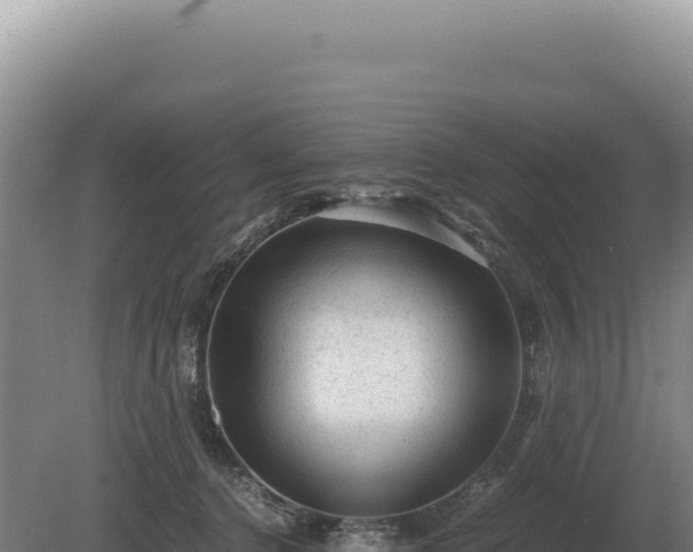 X0000081470368200701191812