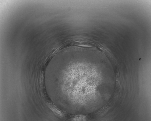 X0000081470369200701191812