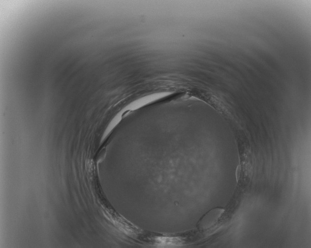 X0000081470371200701191812