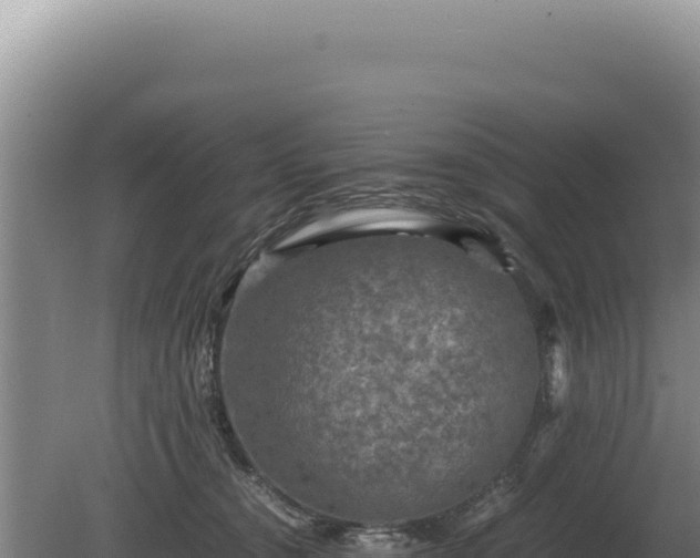 X0000081470372200701191812