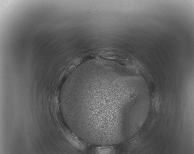 X0000081470373200701191812