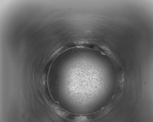 X0000081470374200701191812