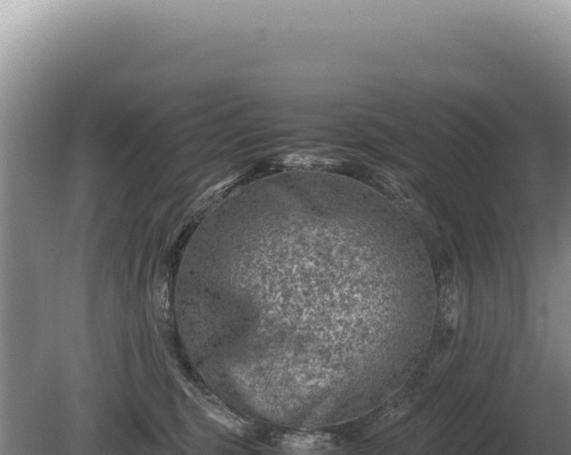 X0000081470375200701191812