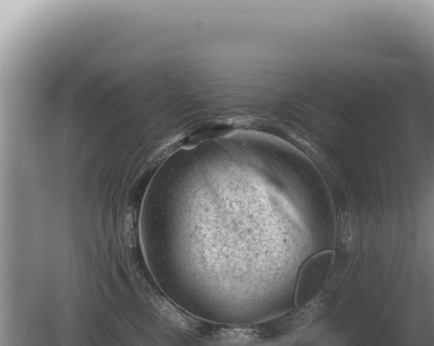 X0000081470378200701191812