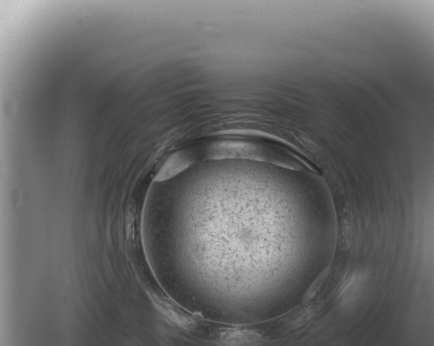 X0000081470379200701191812