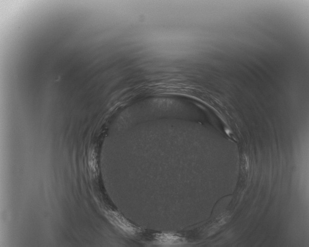 X0000081470380200701191812