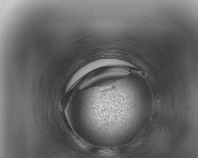 X0000081470381200701191812