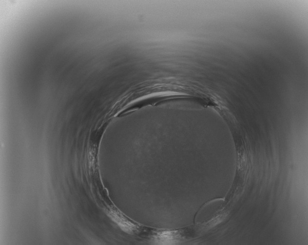 X0000081470382200701191812