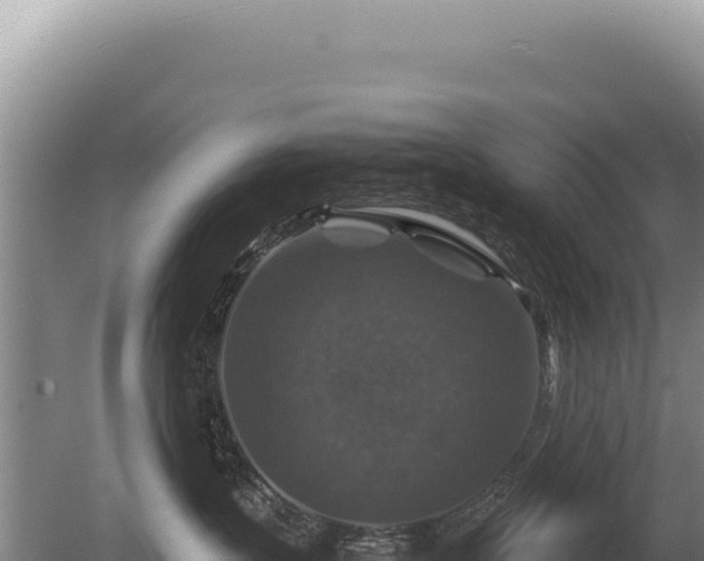 X0000081470383200701191812