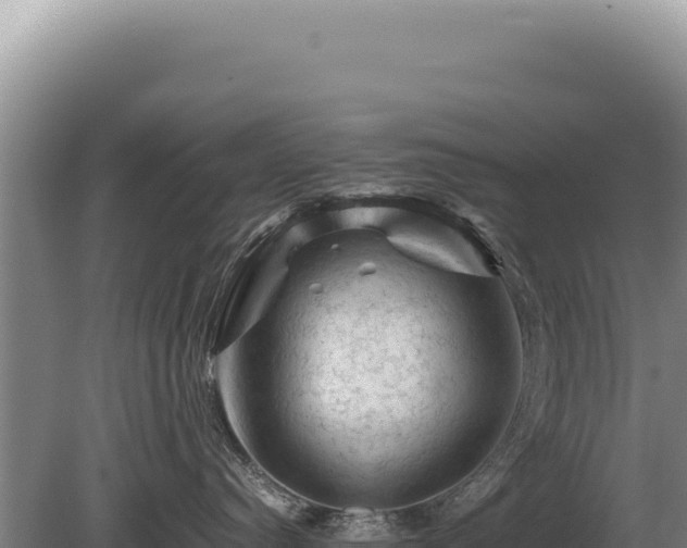 X0000081470384200701191812