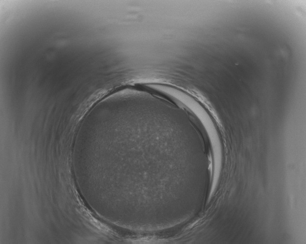 X0000081470385200701191811