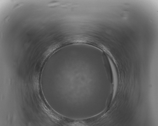 X0000081470386200701191811