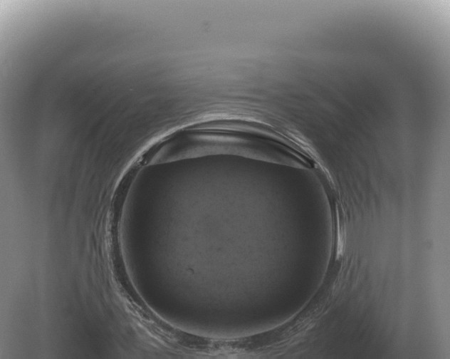 X0000081470387200701191811