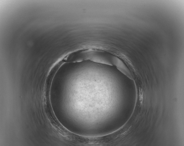 X0000081470388200701191811