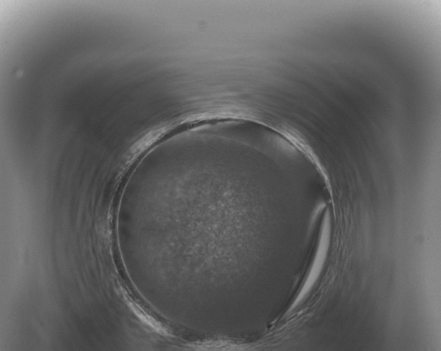 X0000081470389200701191811