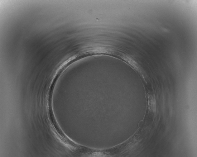 X0000081470390200701191811