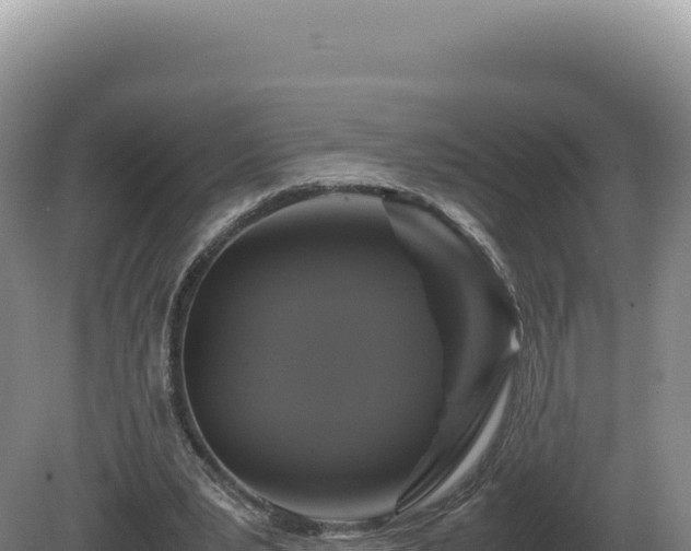 X0000081470391200701191811