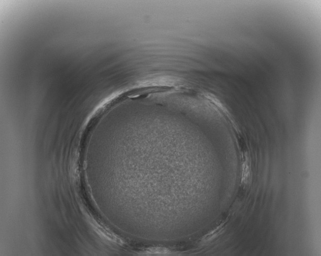 X0000081470392200701191811