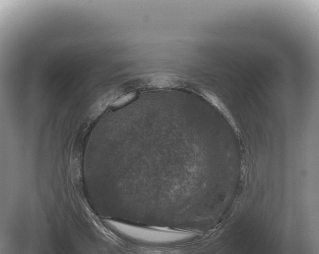 X0000081470393200701191811