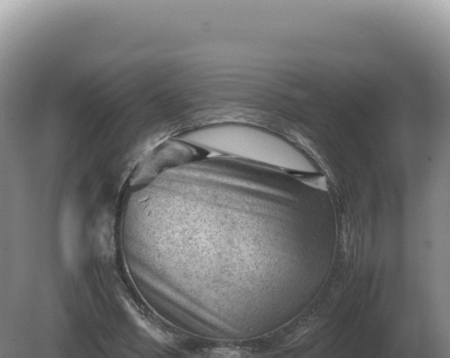 X0000081470394200701191811